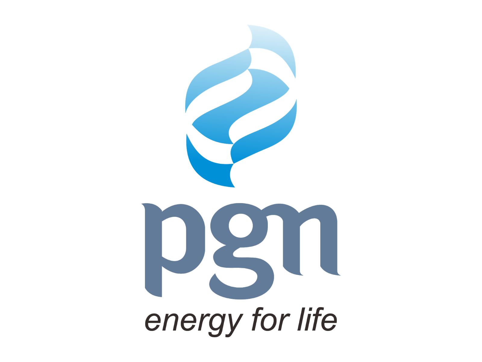 PT Perusahaan Gas Negara Tbk